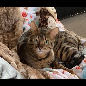 Meet your Posher, Stacey